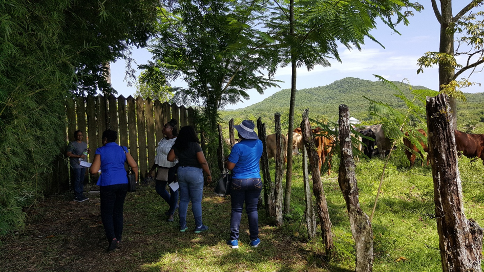 RAD representatives visiting a property to gather context for an appeal